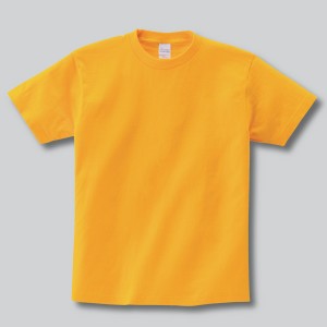 085-CVT